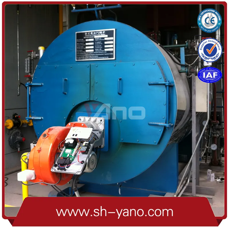 Chaudière à vapeur au charbon industrielle la plus vendue de 50 à 1000 kg