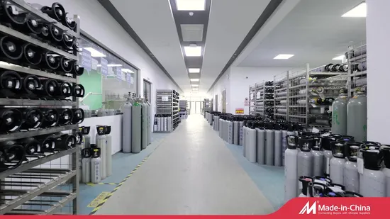 Chaudière à vapeur Wns chaudière à gaz à condensation Low Nox avec une efficacité thermique élevée