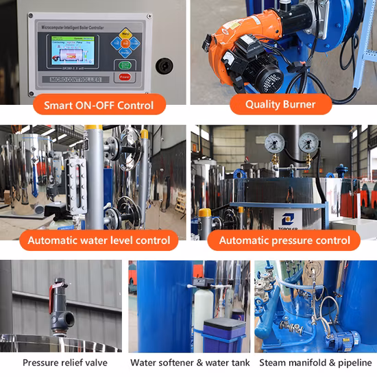 Ventes directes d'usine 300 kg Hr Gaz de chaudière à vapeur avec prix